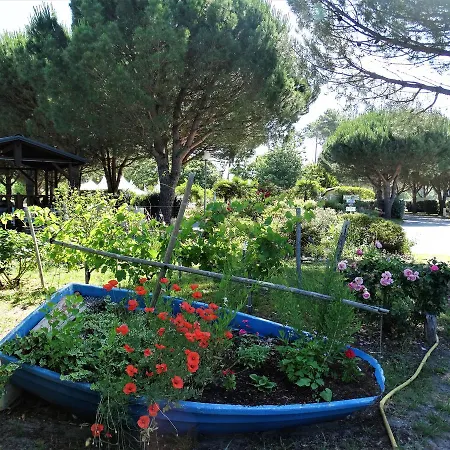 Camping Le Braou 3*